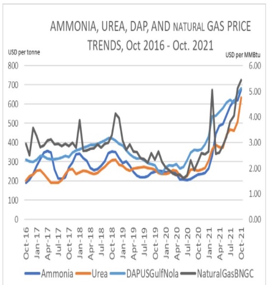 Graf: Medziročný vývoj priemernej SPOT ceny amoniaku (ammonia), močoviny (urea), dusičnanu fosforečného (DAP) v Mexickom zálive Spojených štátov (v USD/tona) a zemného plynu (v USD/MMBtu – mil. Brit. teplot. jednotiek); zdroj: AMIS Outlook, 4.11.2021.