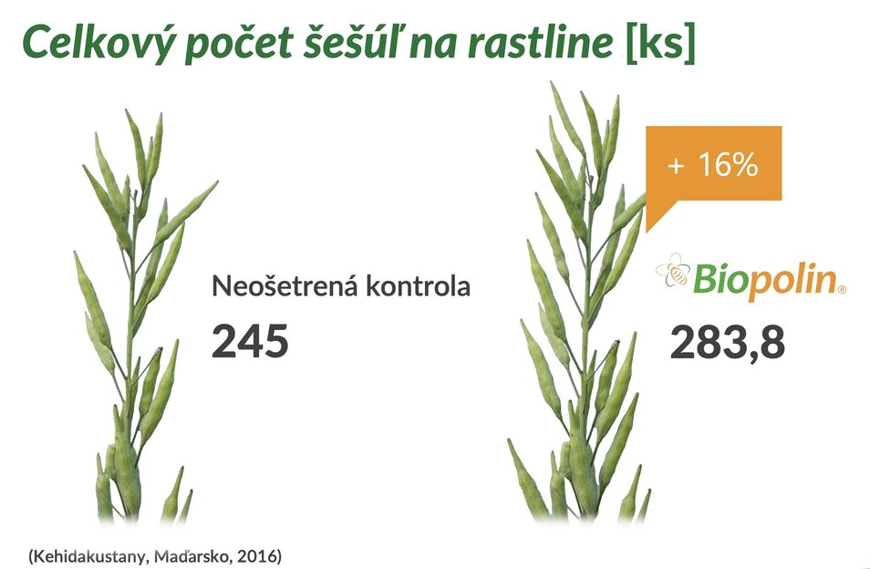 Aplikácia Biopolin® na poliach pre podporu návštevnosti hmyzu počas kvitnutia