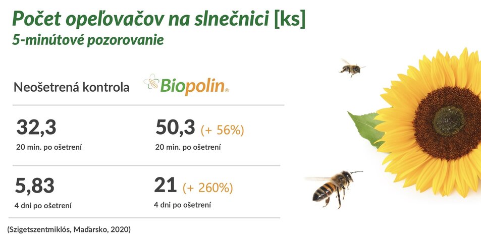 Aplikácia Biopolin® na Slnečnici pre podporu návštevnosti hmyzu počas kvitnutia