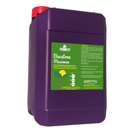 BACSTONE Maximum (10 kg)
