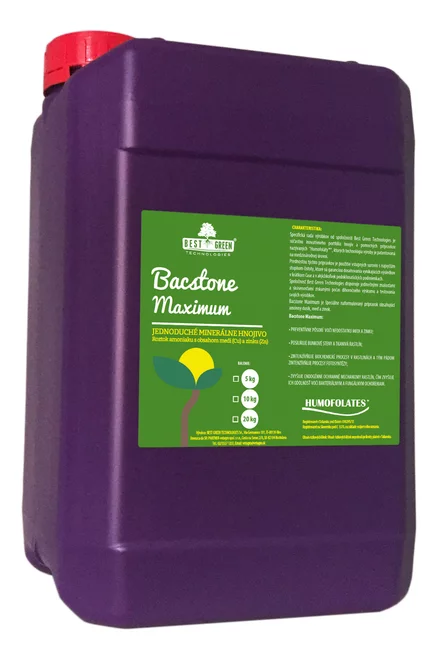 BACSTONE Maximum (10 kg) BACSTONE Maximum (10 kg)