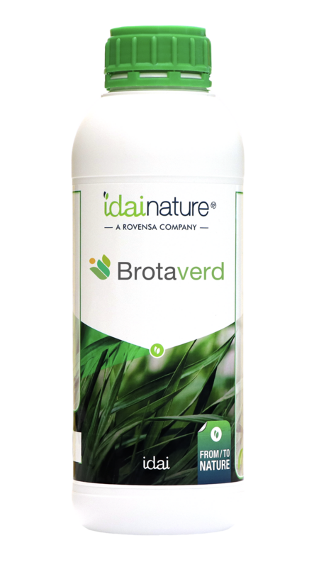 BROTAVERD (1L)