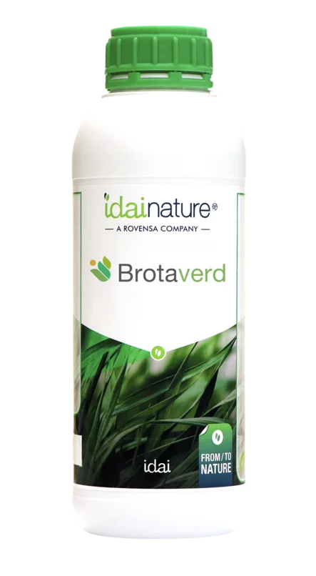 BROTAVERD (1L) BROTAVERD (1L)