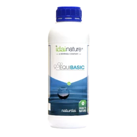 EQUIBASIC® (1L)
