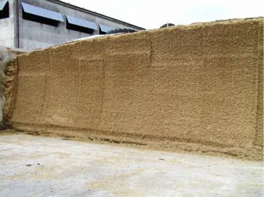 Konzervanty PIONEER Fiber Technology pre lepšiu stráviteľnosť siláží Konzervanty PIONEER Fiber Technology pre lepšiu stráviteľnosť siláží