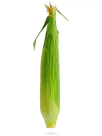 Kukurica