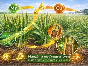 Mangán (Mn) a meď (Cu) v listovej výžive: malé prvky, veľký rozdiel vo výnose