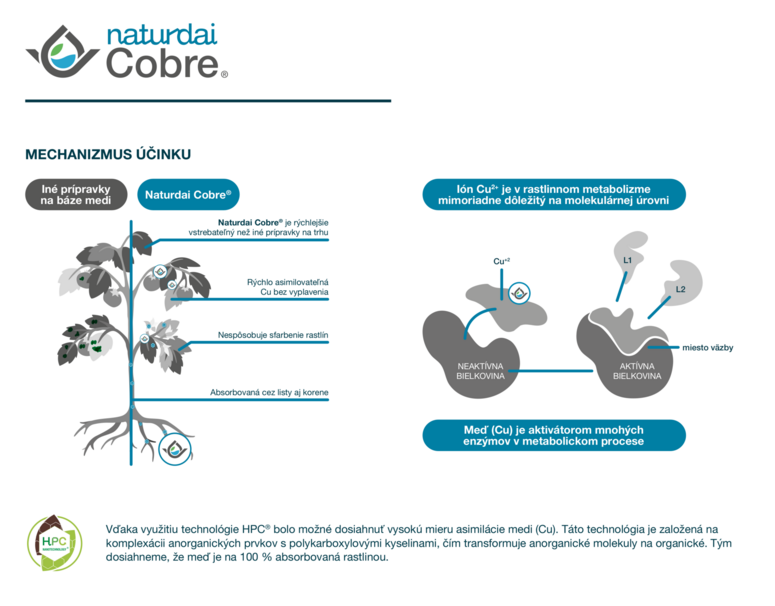 Mechanizmus účinku hnojiva COBRE®