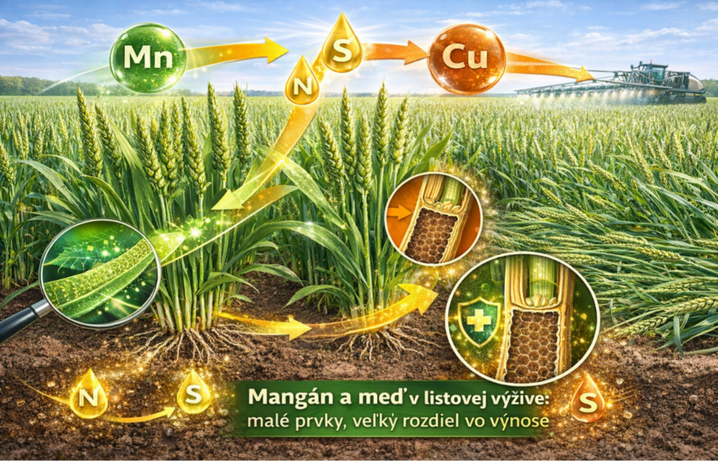 Postrek rastlín s obsahom mangánu a medi