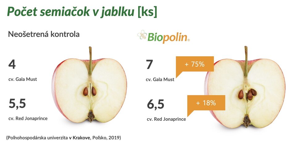 rovnomerne vyvinuté plody po kvalitnom opelení