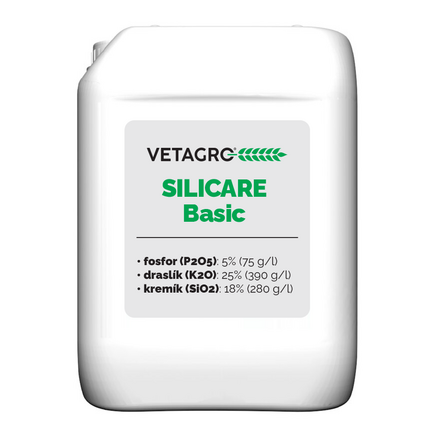 SILICARE Basic (10 L)