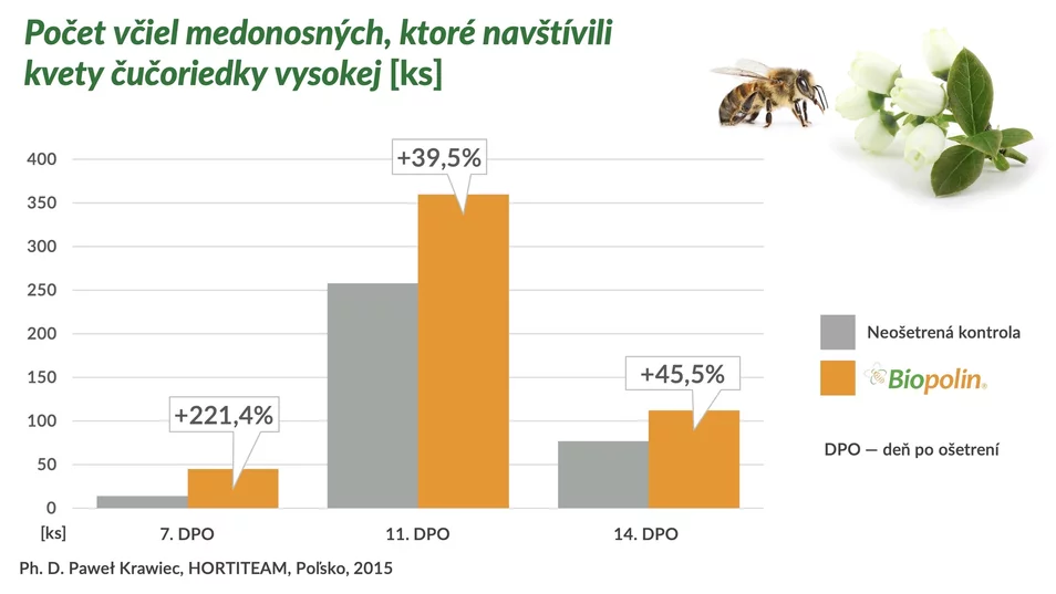 včely ako opeľovače v ovocnom sade včely ako opeľovače v ovocnom sade