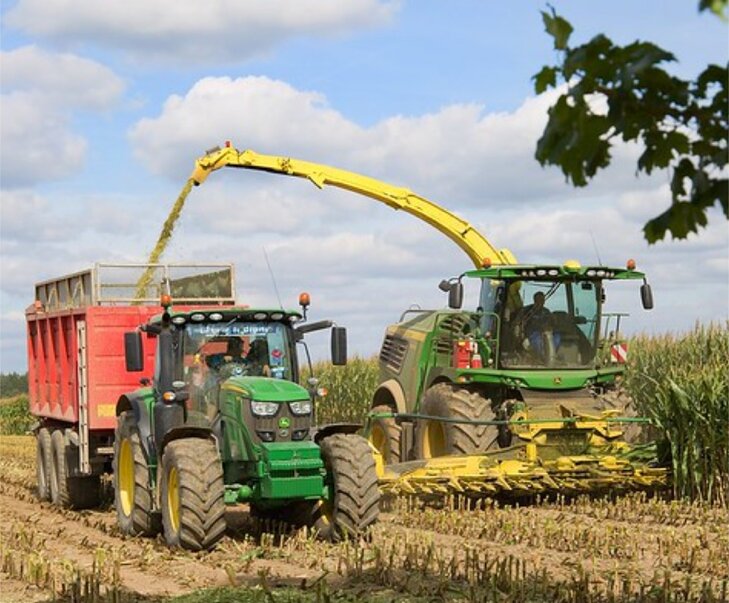 zber silážnej kukurice v poľnohospodárstve